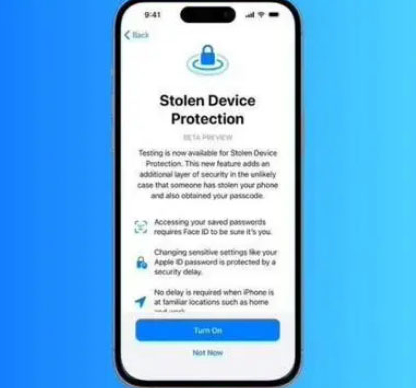 彭阳苹果授权维修店分享被盗设备保护功能开启方法 