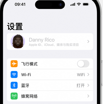 彭阳appleID维修服务iPhone设置中Apple ID显示为灰色无法使用