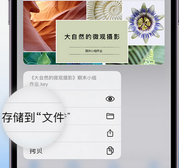 彭阳apple维修中心分享iPhone文件应用中存储和找到下载文件