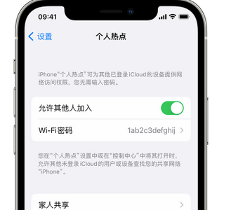 彭阳apple服务站点分享iPhone上个人热点丢失了怎么办 