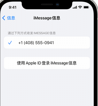 彭阳apple维修iPhone上无法正常发送iMessage信息 