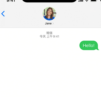 彭阳apple维修iPhone上无法正常发送iMessage信息