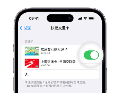 彭阳apple维修点分享iPhone上更换Apple Pay快捷交通卡手绘卡面 