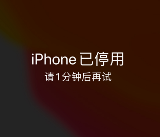 彭阳苹果手机维修分享:iPhone 显示“不可用”或“已停用”怎么办？还能保留数据吗？ 