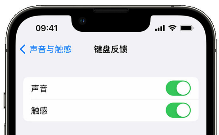 彭阳苹果手机维修分享iPhone 14触感键盘使用方法 