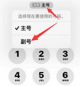 彭阳苹果14维修店分享iPhone 14 Pro Max使用副卡打电话的方法 